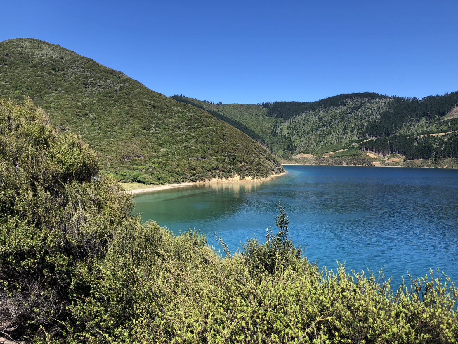 Dolphin Cove, NZ